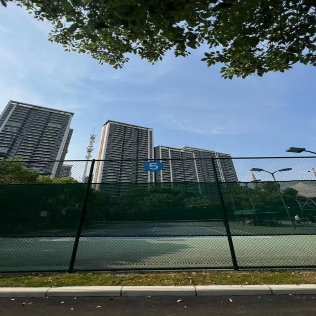 张之臻实现蒙特卡洛赛场首场胜利（nine game）